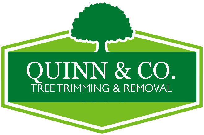 Quinn & Co.
